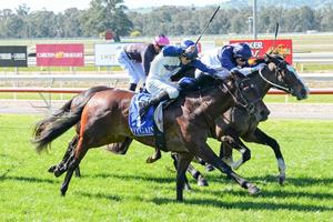 CLIFF RUNNER SURGES LATE